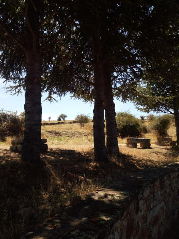 El Egio Hostal Cervera de Buitrago Exterior foto